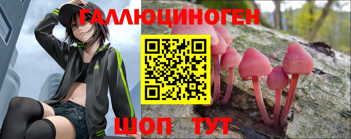 Псилоцибиновые грибы Psilocybe  Вход с VPN  Десногорск 